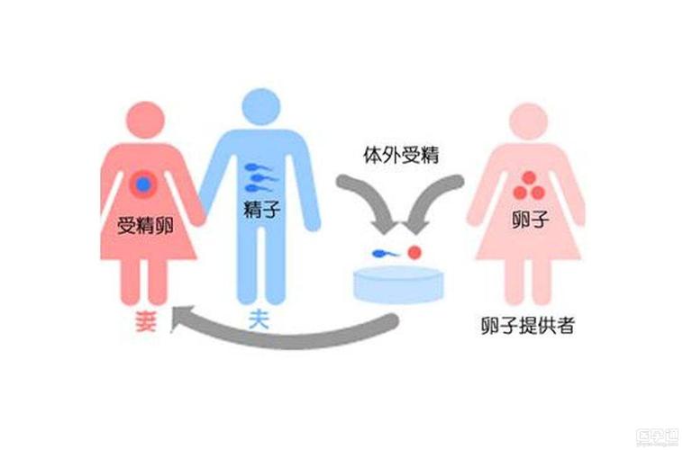 国内在哪里做供卵比较好【国内哪里做供卵比较好?】