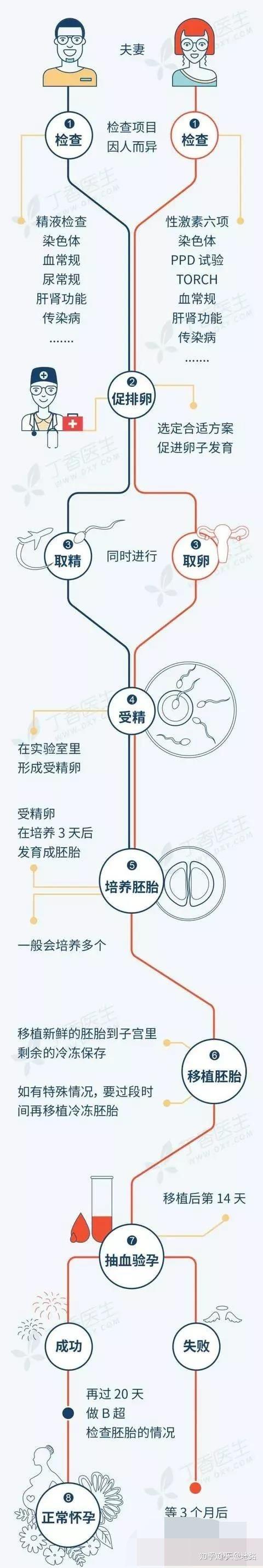 国内借卵代生孩子(国内借卵代生孩子:伦理、法律与医疗挑战)