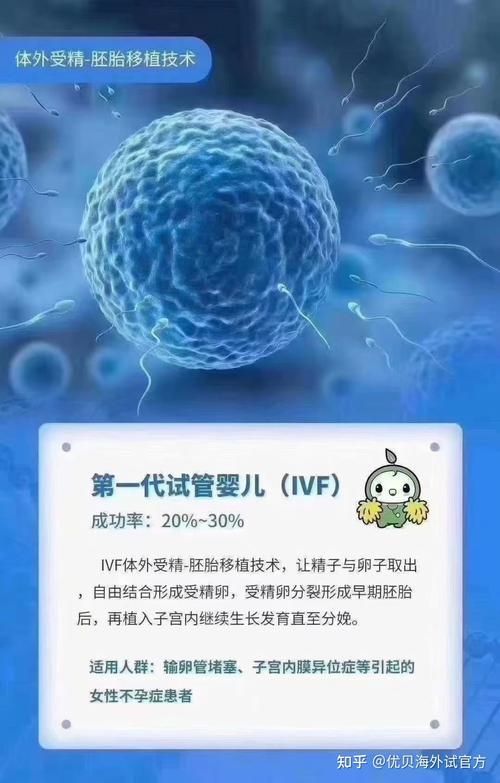 国内都有哪些试管代怀机构_国内试管代怀机构大揭秘