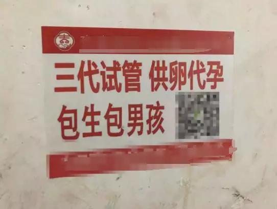 供卵包怀孕包生儿子-供卵包怀孕包生儿子：实现梦想的全新选择”