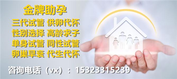 国内借卵试管代怀机构(国内借卵试管代怀机构:选择最适合的生育方式)
