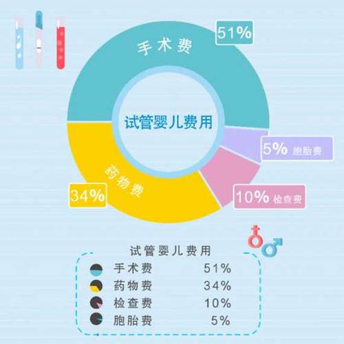 国内试管代怀的花费(国内试管代怀:花费分析及成本控制策略)
